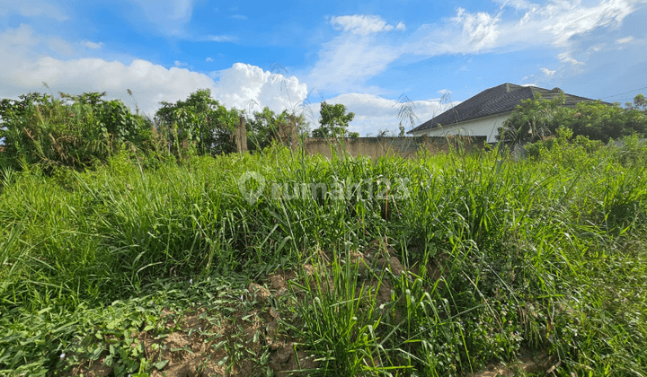 Tanah Aset Mandiri, Sangatta Utara, Kalimantan Timur 1