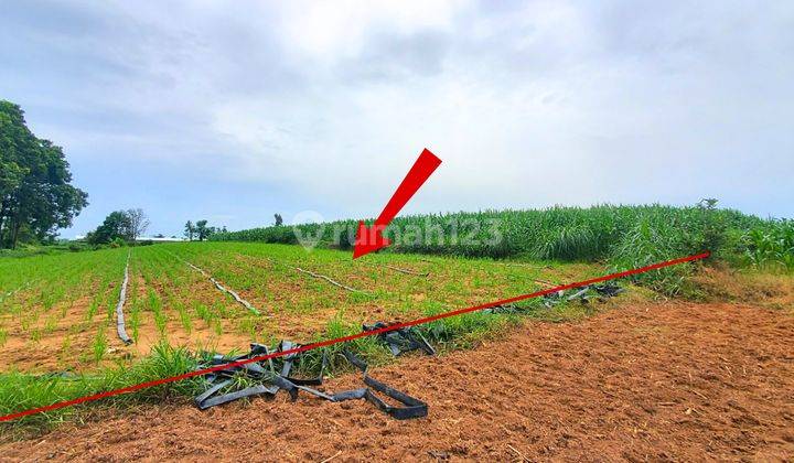 Tanah Murah Aset Mandiri, Lampung Tengah, Lampung 2