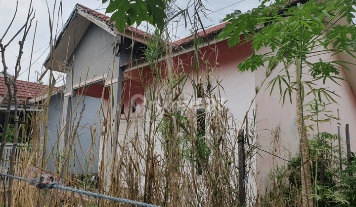 Rumah Murah Aset Mandiri, Alalak, Kalimantan Selatan 2