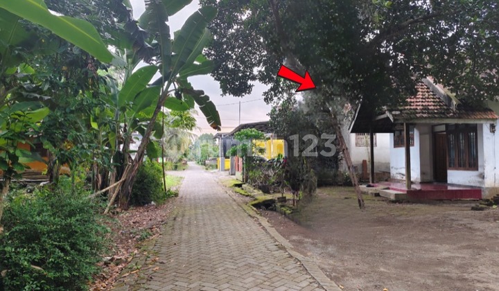 Rumah Murah Aset Mandiri, Kab Banyuwangi