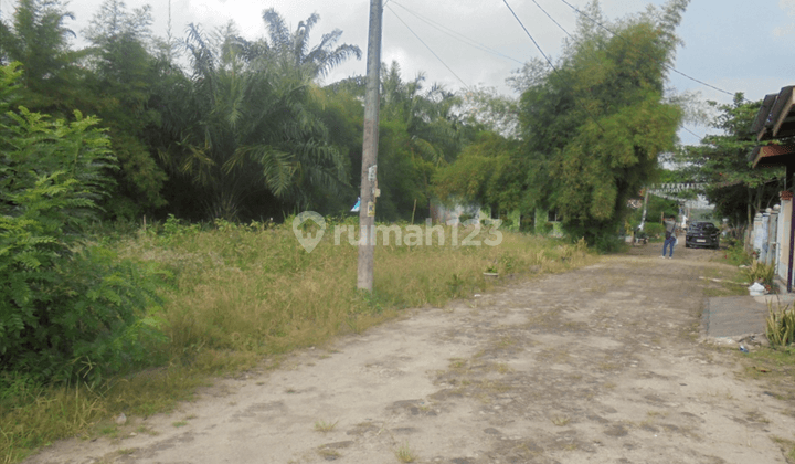 Tanah Murah Aset Mandiri, Kabupaten Serdang Bedagai, Provinsi Sumatera Utara. 2