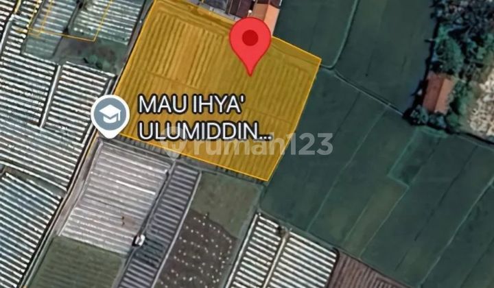 Tanah Murah Aset Mandiri, Kabupaten Banyuwangi