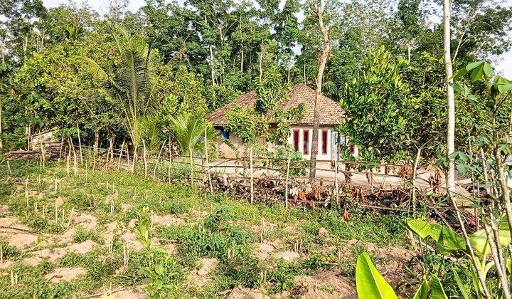 Tanah Murah Aset Mandiri, Belitang II, Sumatera Selatan 2