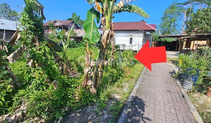 Tanah Aset Mandiri, Pemangkat, Kalimantan Barat 2