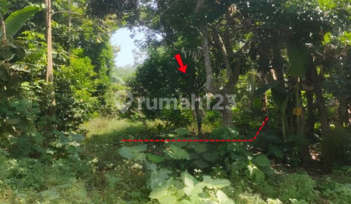 Tanah Murah Aset Mandiri, Kabupaten Blitar