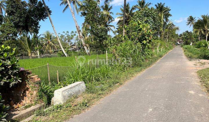 Tanah Murah Aset Mandiri, Lombok Timur, Nusa Tenggara Barat 2