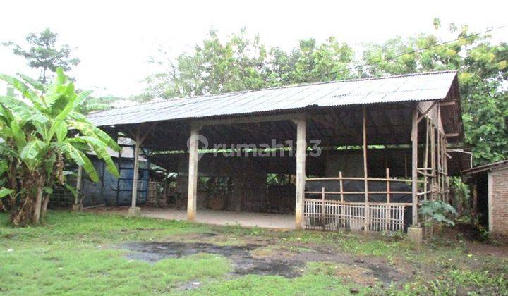 Rumah Murah Aset Mandiri, Kedung, Jawa Tengah 2