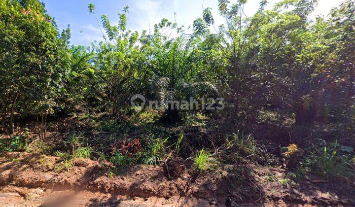 Tanah Murah Aset Mandiri, Badau, Kepulauan Bangka Belitung
