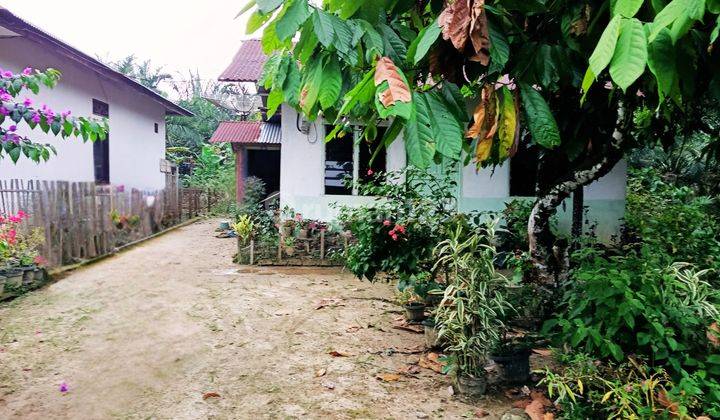 Rumah Murah Aset Mandiri, KABUPATEN PIDIE JAYA, PROVINSI ACEH. 2