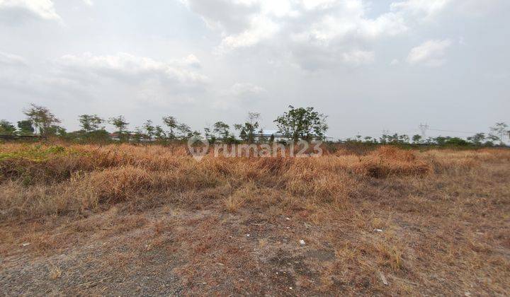 Tanah Murah Aset Mandiri, Losari, kab brebes 1