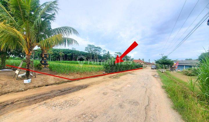 Tanah Murah Aset Mandiri, Lampung Tengah, Lampung 2