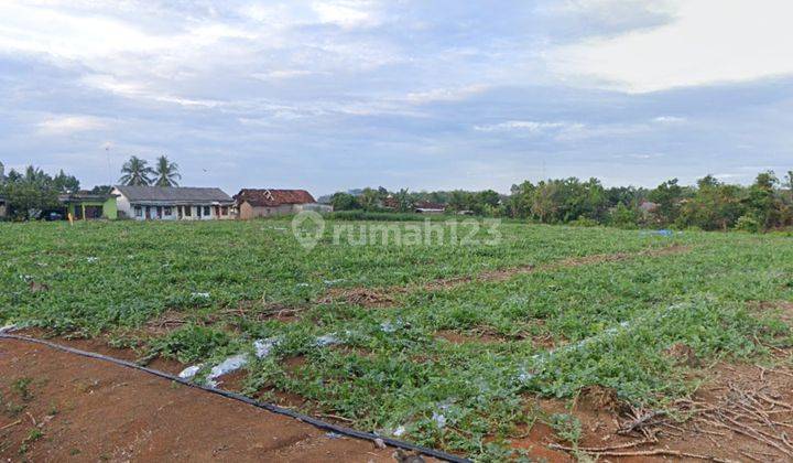 Tanah Murah Aset Mandiri, Banjar Agung, Lampung 2