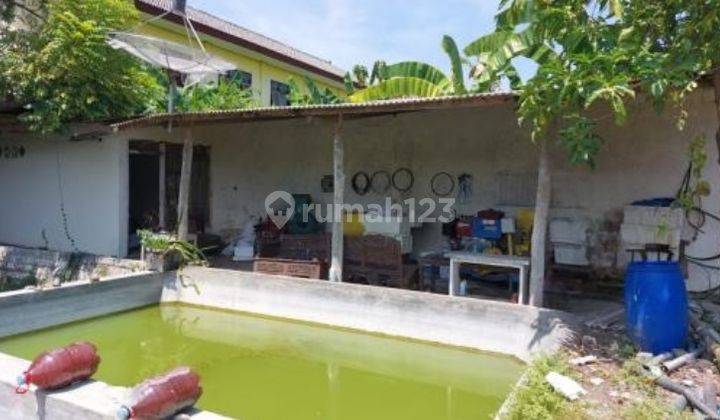 Kolam & Gudang Strategis Aset Mandiri, Kab Tuban 2