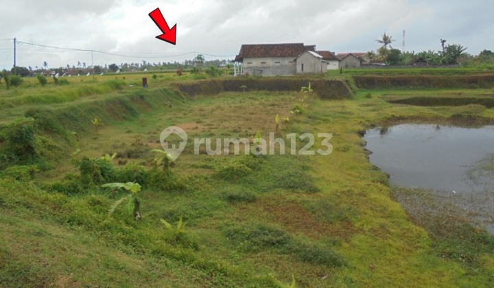 Affordable Land for Self-Reliant Assets, Banyuwangi Regency Affordable Land for Self-Reliant Assets, Banyuwangi Regency