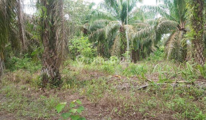 Tanah Murah Aset Mandiri, Air Kumbang, Sumatera Selatan