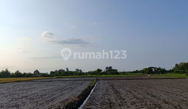 Tanah Murah Aset Mandiri, Kabupaten Situbondo