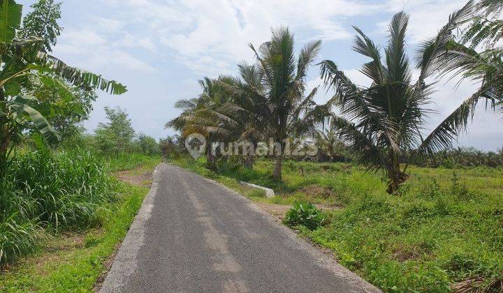 Tanah Murah Aset Mandiri, Lombok Timur, Nusa Tenggara Barat 2