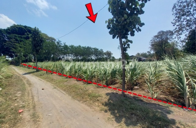 Tanah Murah Aset Mandiri, Kabupaten Kediri