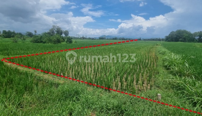 Tanah Murah Aset Mandiri, Kabupaten Tulungagung