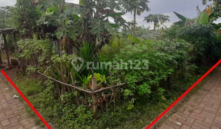 Tanah Murah Aset Mandiri, TAPOS, DEPOK