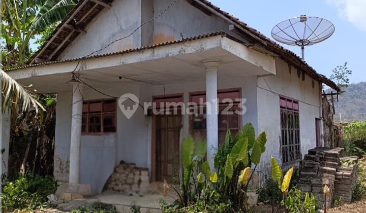 Rumah Murah Aset Mandiri, Kab Jember