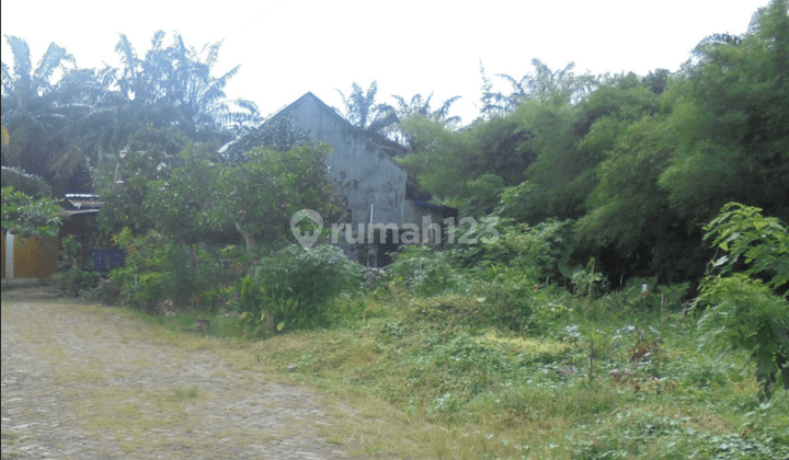 Tanah Murah Aset Mandiri, Kabupaten Serdang Bedagai, Provinsi Sumatera Utara. 2