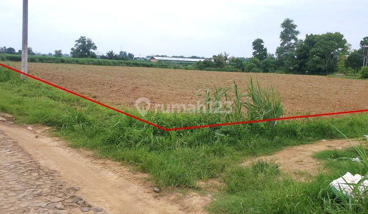 Tanah Murah Aset Mandiri, Lampung Tengah, Lampung 2