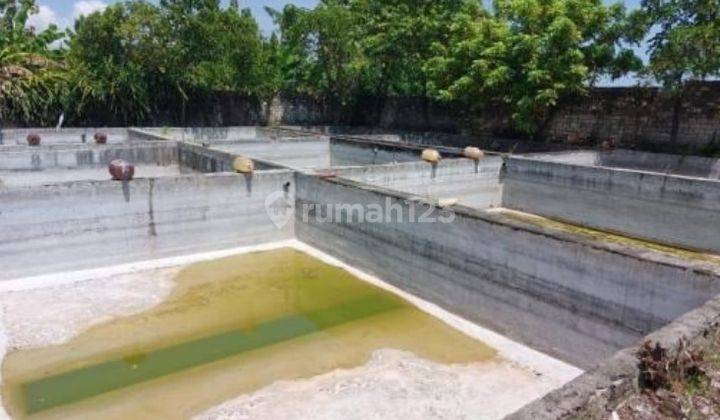 Kolam & Gudang Strategis Aset Mandiri, Kab Tuban 1