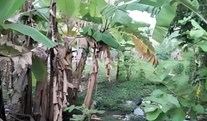 Tanah Murah Aset Mandiri, Kabupaten Sidoarjo