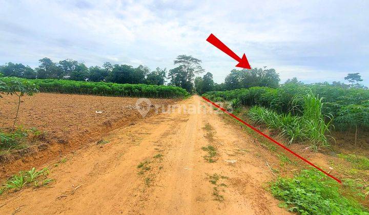 Tanah Murah Aset Mandiri, Lampung Tengah, Lampung 2