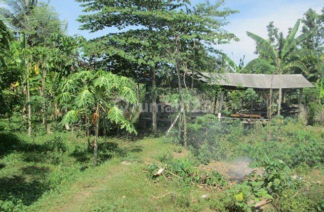 Tanah Murah Aset Mandiri, Lombok Timur, Nusa Tenggara Barat 2