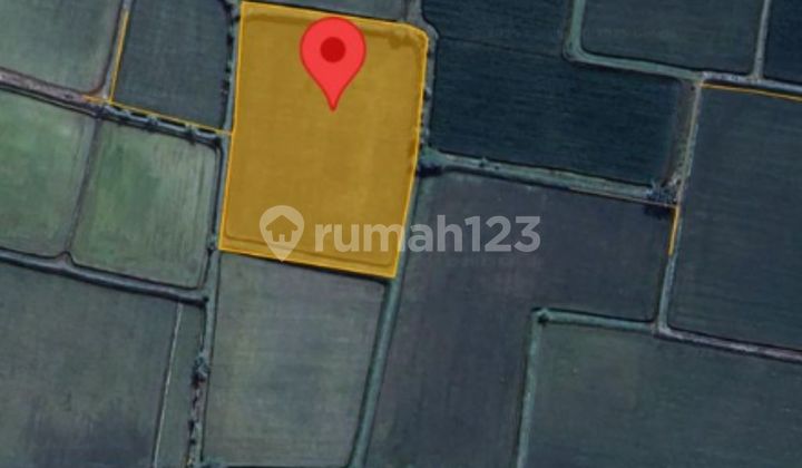 Tanah Murah Aset Mandiri, Kabupaten Tuban