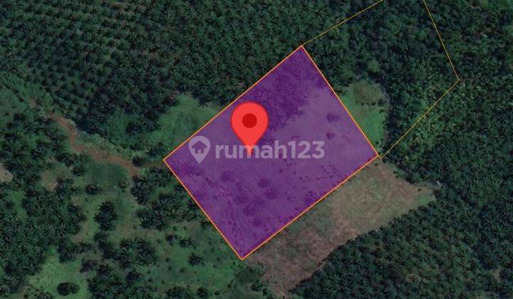 Tanah Murah Aset Mandiri, Tigo Nagari, Sumatera Barat