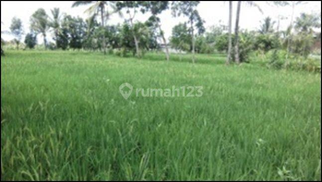 Tanah Murah Aset Mandiri, Lombok Timur, Nusa Tenggara Barat 2