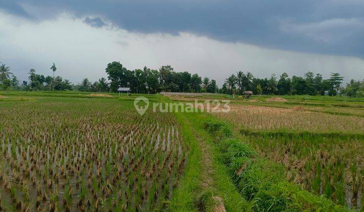 Tanah Murah Aset Mandiri, Lombok Tengah, Nusa Tenggara Barat 2