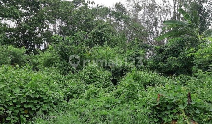 Cheap Land Independent Asset, Gresik Regency Cheap Land Independent Asset, Gresik Regency