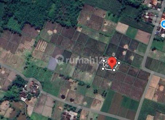 Tanah Murah Aset Mandiri, Kabupaten Banyuwangi 1