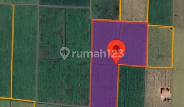 Tanah Murah Aset Mandiri, Kabupaten Situbondo