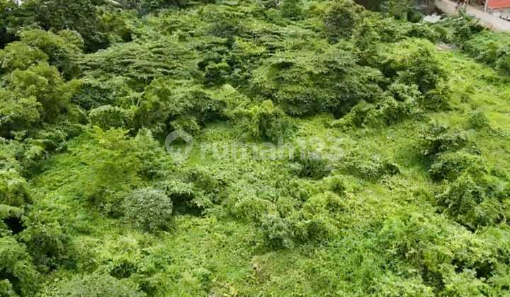 Disewakan Tanah 1.2 Ha dengan Posisi Strategis di Permata Hijau Disewakan Tanah 1.2 Ha dengan Posisi Strategis di Permata Hijau