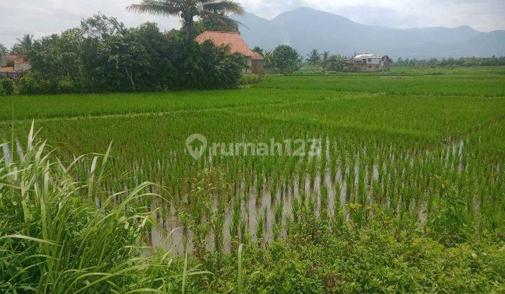 Tanah Cocok Dibangun Gudang Atau Perumahan di Garut 1