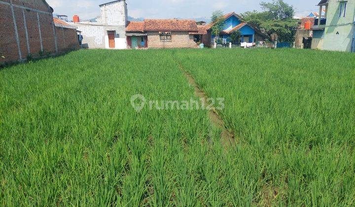 Tanah Luas 1.116m2 Cocok Bangun Gudang Maupun Cluster di Soreang 2