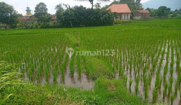 Tanah Cocok Dibangun Gudang Atau Perumahan di Garut 2