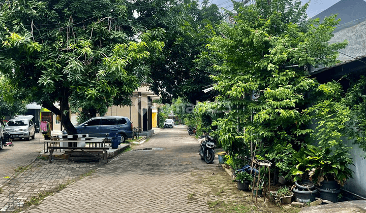 Rumah Villa Mutiara Pluit Rumah Dengan Lingkungan Tenang Dan Asri Bebas Banjir