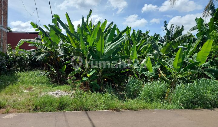 Tanah Lokasi Belakang Cbd Citragrand Shm di Cibubur Tanah Lokasi Belakang Cbd Citragrand Shm di Cibubur