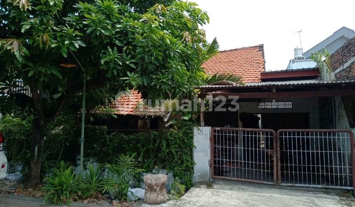 Rumah 1 Lantai Rungkut Surabaya Timur