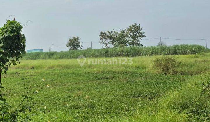 Dijual Tanah Strategis Murah di Prambon Sidoarjo Jawa Timur 1