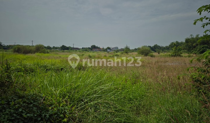 For Rent: Large Industrial Zone Land in Prambon For Rent: Large Industrial Zone Land in Prambon