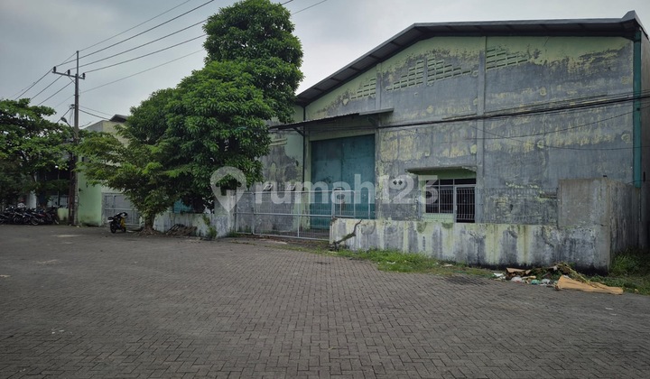 Disewakan Dua Gudang Jejer Siap Huni di Gedangan Sidoarjo 2