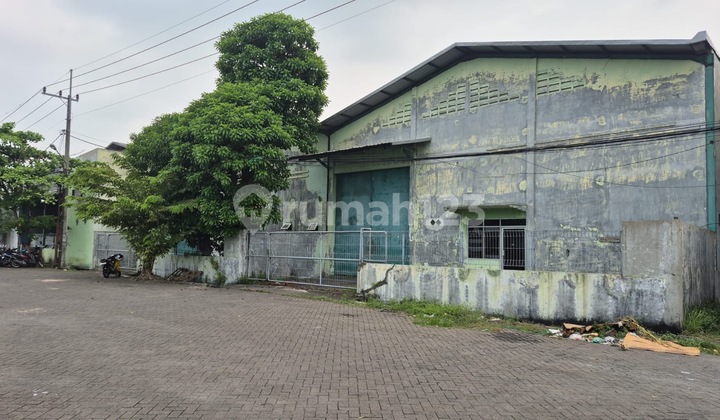 Disewakan Dua Gudang Jejer Siap Huni di Gedangan Sidoarjo 1