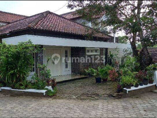 Rumah Homestay Aktif 2lantai, Bagus Siap Pakai 1